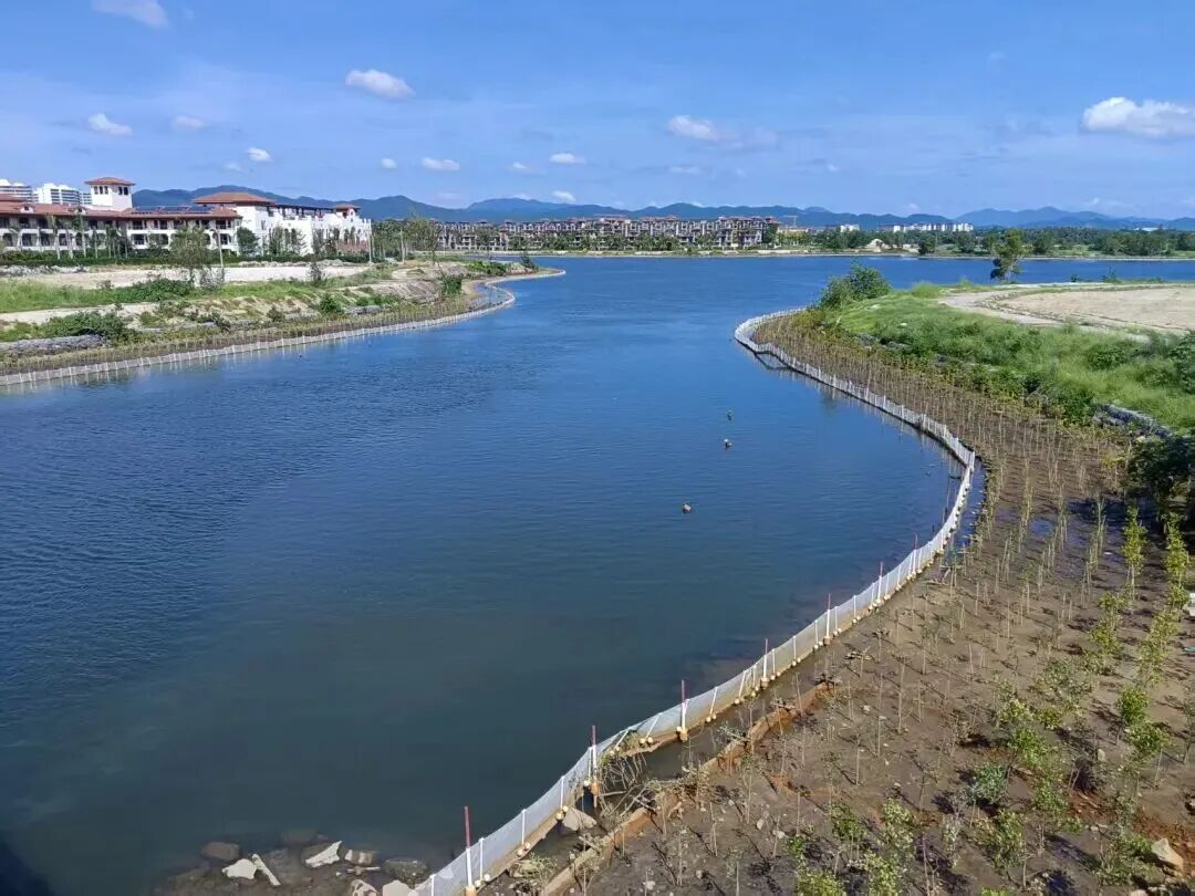 三亞環(huán)農集團：加力提速抓項目 全力以赴拼經(jīng)濟